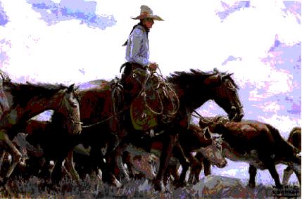 theopenrange.jpg